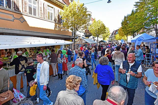 Bild 11: Tolle Donaueschinger Herbstfeststimmung...