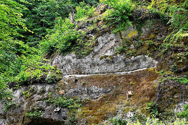 Bild 17: Wie läuft es sich von der Marienschlucht zum Burghof? Bilder einer Wanderung