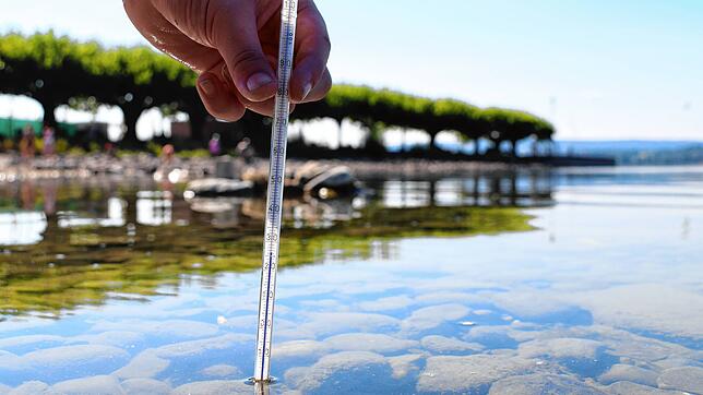 Das Wasser des Bodensees ist aktuell schön warm. Das hat aber Auswirkungen auf den Bakterienhaushalt des Gewässers.