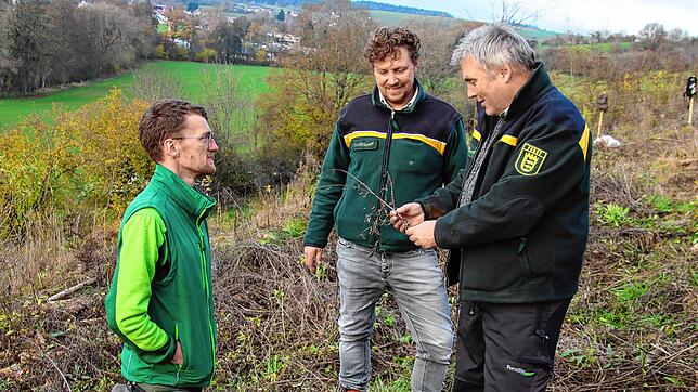 Sie wissen, worauf es im Zeitungswald ankommt (von links): Philipp Hölz, Einsatzleitung Pflanzung Unternehmen Grün Team, Benedikt ...