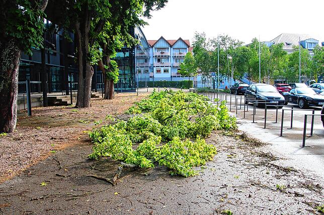 Am Vormittag des 12. Juli räumten Technische Dienste Sturmschäden in der ganzen Stadt weg. Hier an den Donauhallen.