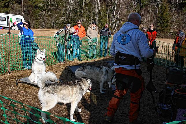 Bild 7: Bilder vom Husky-Camp und Huskyfiebermarkt in Todtmoos