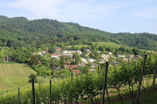Ein Blick auf das Wohngebiet, in dem Berrin T. mit ihrem Sohn lebte.