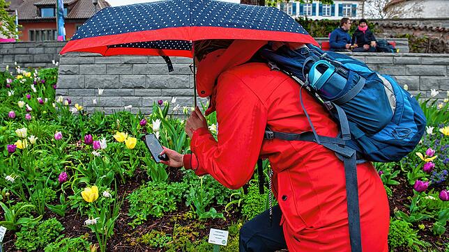 Egal ob mit dem Smartphone oder der Profi-Kamera: Bildmotive finden sich bei der Landesgartenschau in Hülle und Fülle, wie hier in den ...