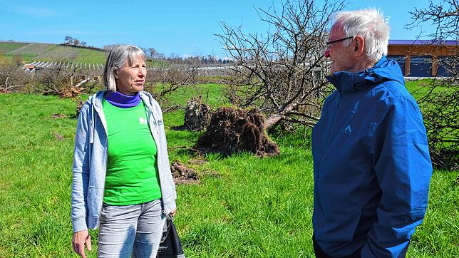 Gabriela Lindner, Vorsitzende des BUND-Kreisverbands, und Wilfried Steiger, Vorsitzender des BUND Meersburg, schauen sich die Lage vor ...