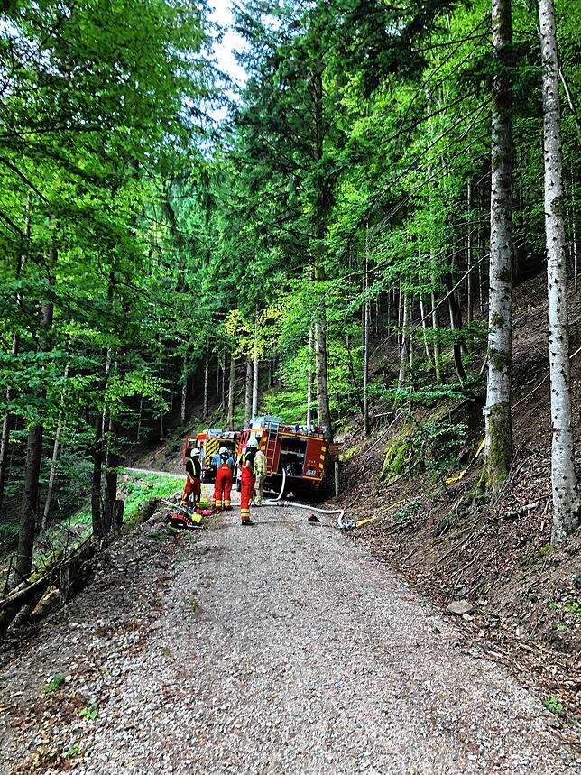Enge Waldwege: Die Logistik der Einsatzfahrzeuge will durchdacht sein.