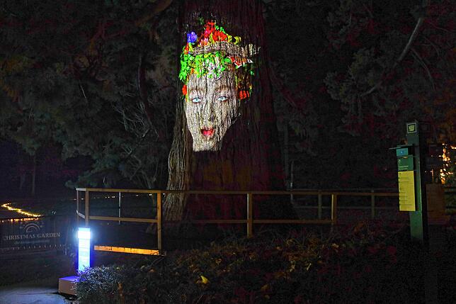 Bild 23: Insel Mainau: Bilder vom Start des Christmas Garden 2023 - Teil 1