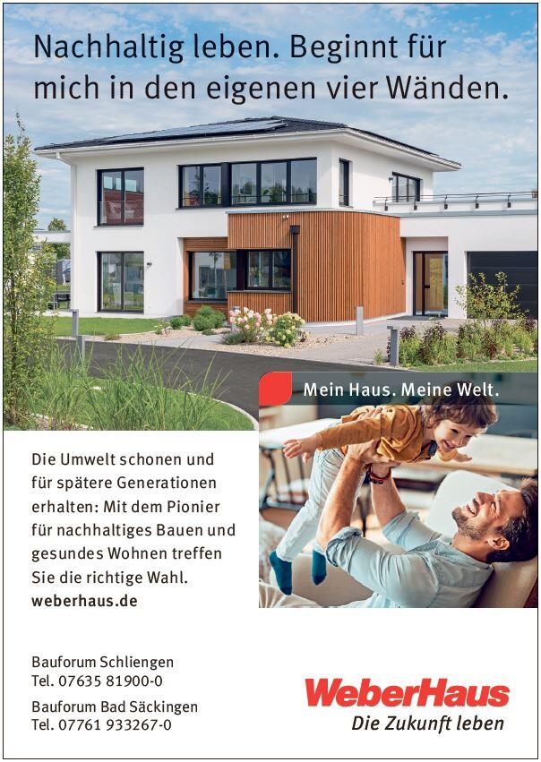 Bild 4: Bauen und Wohnen in Rheinfelden, Grenzach-Wyhlen, Schwörstadt