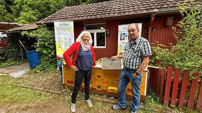 Der Imkerverein Waldshut präsentiert die Welt der Bienen und Insekten und informiert interessierte Besucher darüber. Fotos: Miriam Stoll