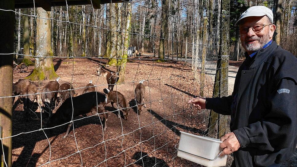 Leckerlis: Werner Jockers, Vorsitzender des hinter dem Wildgehege stehenden Vereins, bringt ab und zu Maiskörner für das Wild (hier: ...