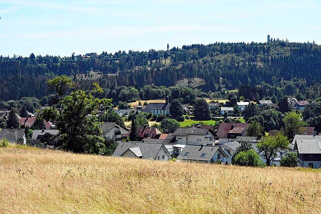 Die Gemeinde Häusern mit der Kirche St. Fridolin. Im Hintergrund die Kirche St. Michael und der Zäpfle-Turm der Nachbargemeinde ...
