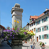 Der Neustadtbrunnen in der Aufkircher Straße war als Standort eine Alternative. Doch wurde er erst 2007 vom Verschönerungsverein ...
