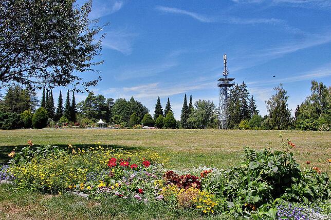Bild 3: Rosengarten, Aussichtsturm und Spielvergnügen: So schön ist es nur auf dem Villinger Hubenloch