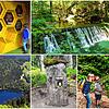 Manchmal liegen die schönsten Urlaubsziele ganz nahe: Im Schwarzwald und am Hochrhein gibt es viele Sehenswürdigkeiten und ...