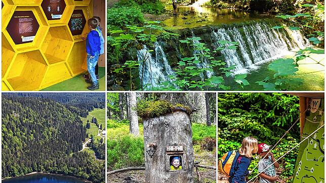 Manchmal liegen die schönsten Ausflugsziele ganz nahe: Im Schwarzwald und am Hochrhein gibt es viele Sehenswürdigkeiten und ...