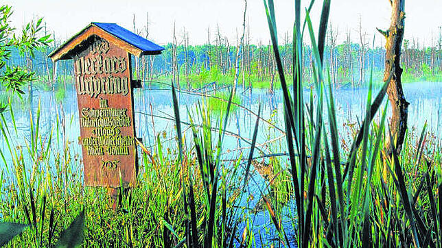 Der Ursprung des Neckars liegt im Schwenninger Moos.