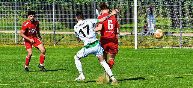 Bild 10: SV Herten rettet sich durch das 5:3 gegen VfR Bad Bellingen vor dem Abstieg &ndash; wir haben Bilder!