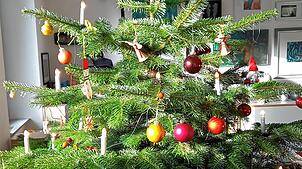 Ob dieser Weihnachtsbaum bis Lichtmess durchhält?