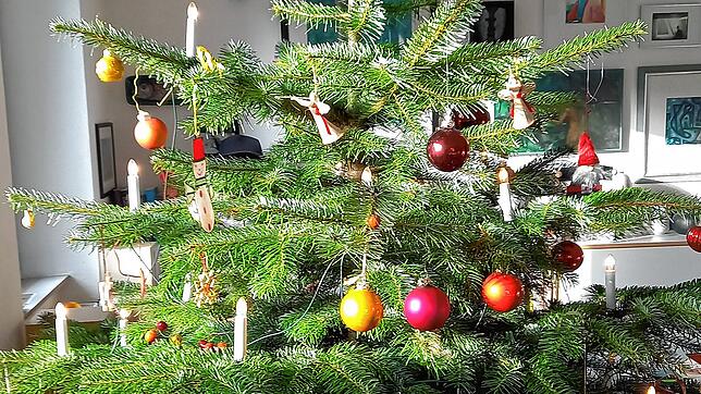 Ob dieser Weihnachtsbaum bis Lichtmess durchhält?