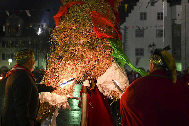 Bild 19: Alle Bilder zur Fastnachtsverbrennung in Radolfzell