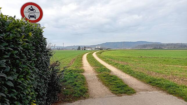 Der Talweg in Rielasingen, der hinter dem Kinderhaus Rosenegg ins Feld führt, ist der Feldweg, der zuerst saniert werden soll.