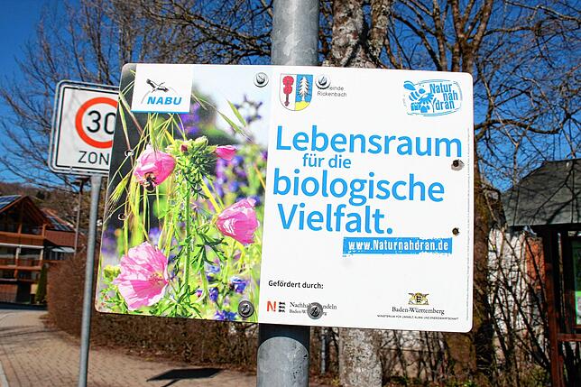 Schilder wie dieses sind in Rickenbach an vielen Stellen zu sehen. Sie zeigen die Stellen an, wo ein Lebensraum für biologische Vielfalt ...