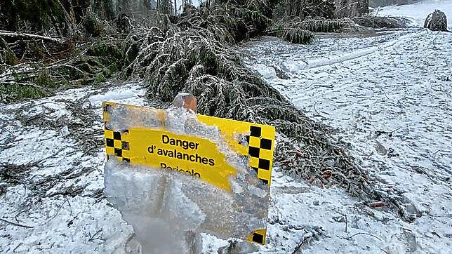 Flur- und Waldschäden nach einer außerordentlich großen Lawine im Creux de Champs (Ormont-Dessus, Kanton Waadt), die sich am 28. Januar ...