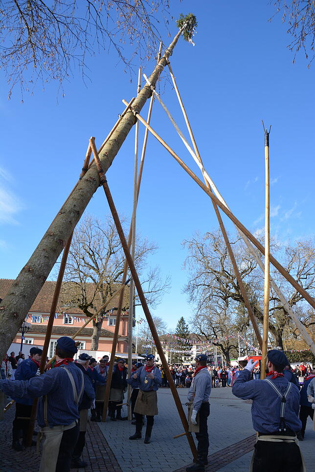 Bild 2: Bilder vom Kinderumzug und Narrenbaumstellen in Bad Dürrheim
