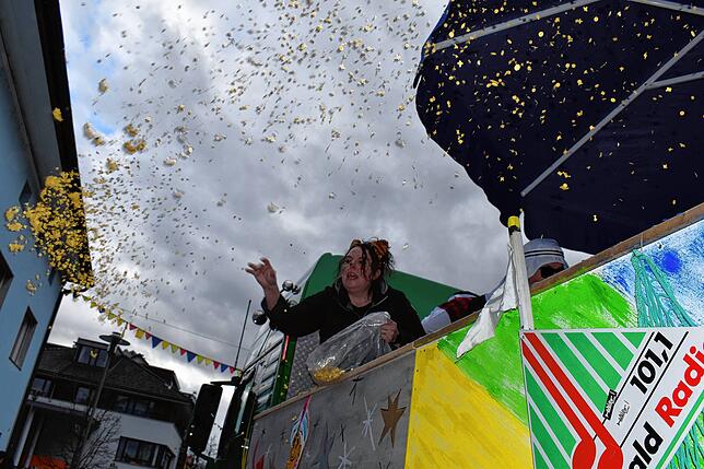 Bild 27: So bunt ziehen die Narren am Sonntag durch Wehr