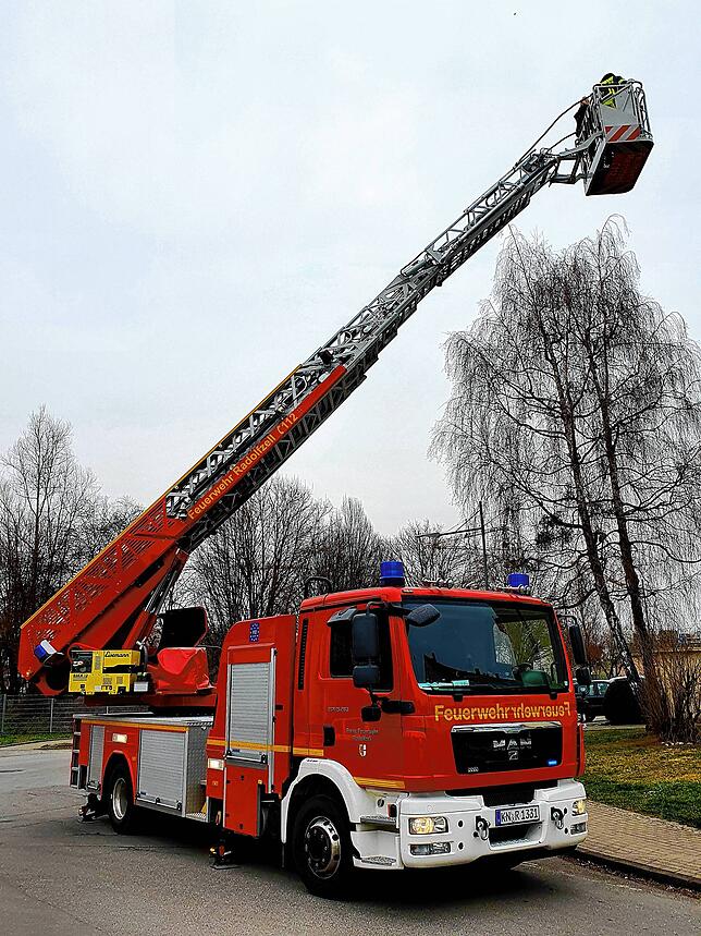 Die Radolfzeller Feuerwehr holt mit der Drehleiter Katze Ida vom Baum.