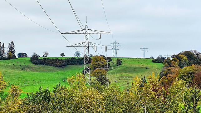 Von diesen Masten im Gelände im Bereich Höfe der Gemeinde Mühlingen sind zwei von den Vorprüfungen und einem Ersatzneubau betroffen. ...