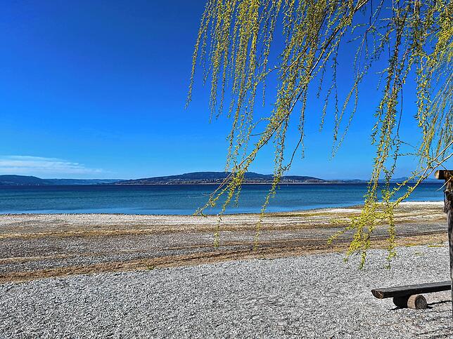Der Bodensee hat aktuell einen niedrigen Wasserstand.