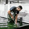 2023 konnten während mehrerer Monate keine Shrimps aus der Rheinfelder Zucht gekauft werden.