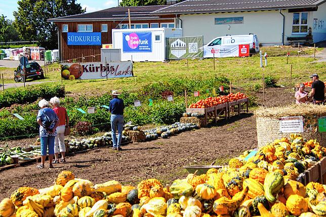 Bild 3: Beim 11. Höchenschwander Strohskulpturen-Wettbewerb gibt es auch zu Kürbisse zu sehen und zu kaufen