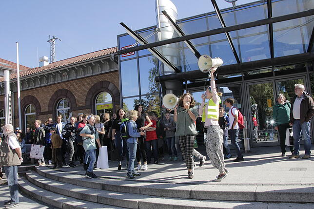 Bild 29: Bilder von der Fridays for Future-Demonstration in Villingen