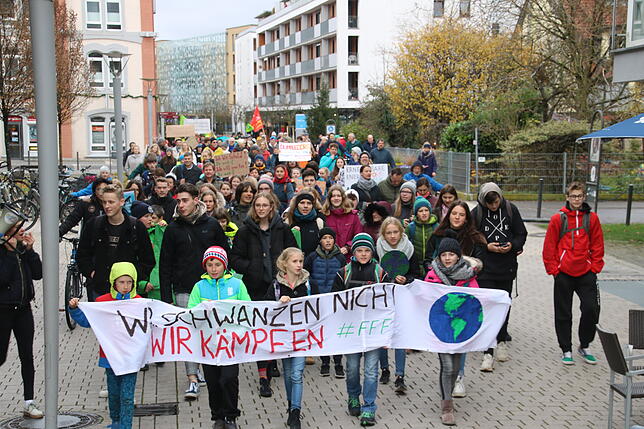 Bild 12: Fridays-for-Future geht in die nächste Runde: Bilder und Videos von der Demonstration in Radolfzell