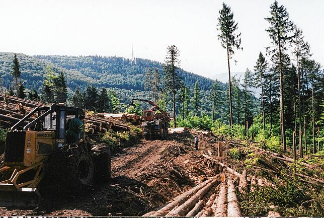 1999: Ein trostloser Anblick: der Wald nach dem Sturm. Das Bild zeigt eine belgische Forstfirma beim Aufarbeiten des Sturmholzes.