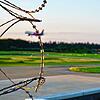 Eine Wizz-Air-Maschine landet am Flughafen Friedrichshafen: Seit April steuert die Fluggesellschaft von hier aus auch Tirana an. ...