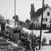 1939 wurde befehlsgemäß auch in Immenstaad eine Hitlerlinde gepflanzt. Sie stand an der Kreuzung Bach- und Seestraße. 1945 wurde der ...