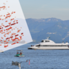 Am Bodensee steigen die Temperaturen, es gibt jedes Jahr viele Hitzetage. Zum Glück gibt es den See zur Abkühlung.
