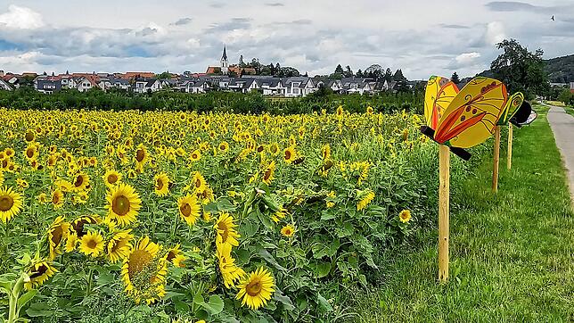 Steißlingen bietet schöne Ansichten, besonders wenn der Kunst- und Kulturkreis seine Freiluftausstellung am Oberen Weg macht.