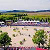 Das internationale Reitturnier mit südbadischem Charme: Vom 27. bis 30. Juli steigt das &bdquo;Fest der Pferde&ldquo; auf den Immenhöfen ...