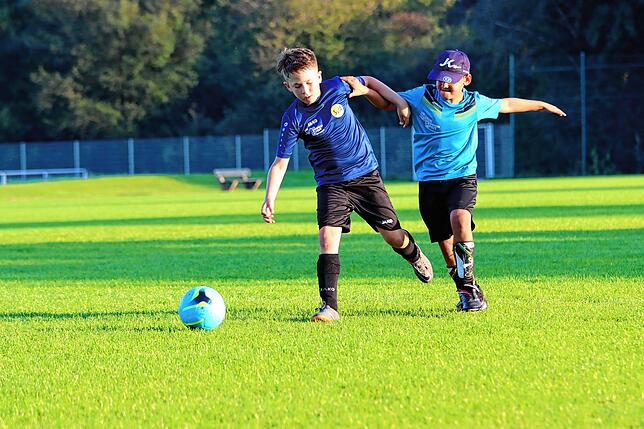 Bild 8: Auch die Jugendfußballer starten in die Saison. Wir haben Bilder vom E-Jugendtraining des SV Allensbach!