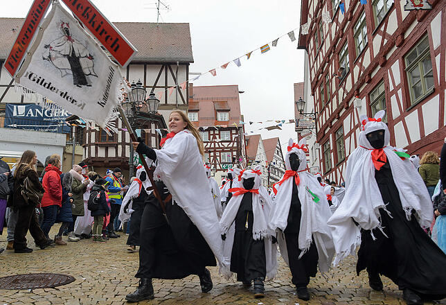 Bild 49: Tausende Hästräger und Musiker in Pfullendorf: Bilder vom Umzug (2)