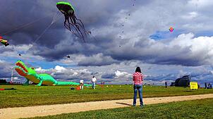 In bunten Farben und originellen Formen fliegen beim Familiendrachenfest in Leibertingen wieder die Drachen. Bild: Förderverein ...