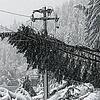 Zu Schneebruch (abgebrochene Äste oder Bäume durch Schneelasten) kam es an vielen Orten in den Landkreisen Waldshut und Lörrach. Damit ...