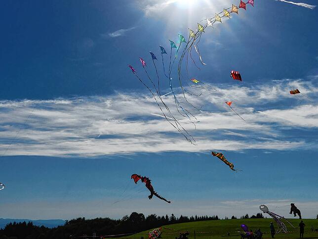 Bild 10: Bilder vom 11. Familien-Drachenfest auf dem Flugplatz in Hütten