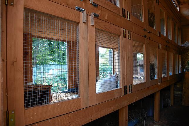 Auch Nagetiere wie Hasen und Meerschweinchen finden im Tierheim Steinatal einen Platz.