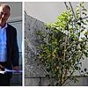 Diesen Apfelbaum der Stadt Hüfingen hat Bürgermeister Michael Kollmeier zur Eröffnung des Wertstoffhofes Plus überreicht &ndash; gedacht ...