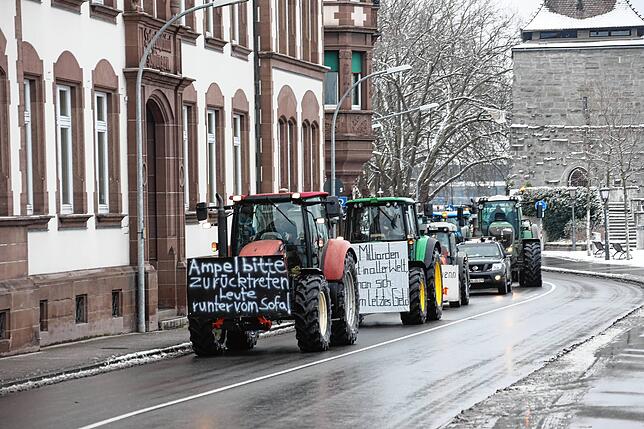 Bild 19: Traktoren umrunden die Stadt: Jetzt demonstrieren die Landwirte auch in Konstanz!